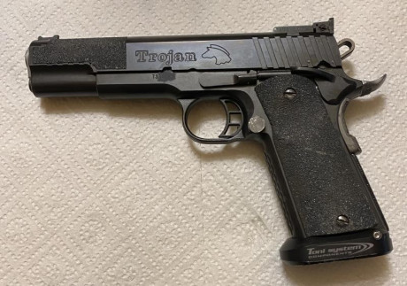 Vendo pistola STI modelo Trojan 1911-5 pulgadas, calibre 9mm.
Estado impecable, cargador original, 5 cargadores 00