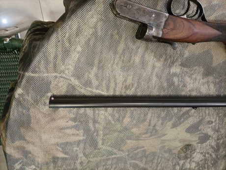 Muy poco uso,perfecto estado,70 de cañón extractora y cuatro chokes en ambos caños.Se cambia por rifle 10