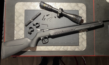 Aparte de las Crosman 1337 hasta arriba de piezas custom (vamos, las tuneadas de toda la vida) y las sheridan 110