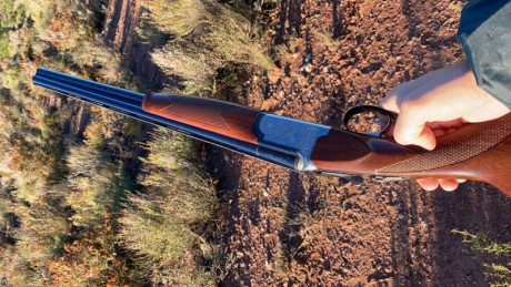 Hola compañeros, vendo esta preciosa Battista Rizzini calibre 20. La escopeta está en muy buen estado, 01