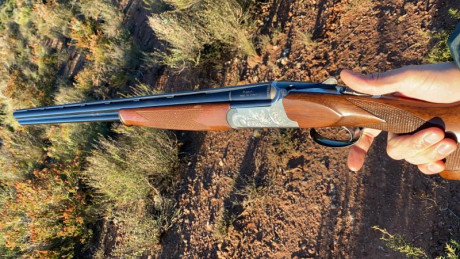 Hola compañeros, vendo esta preciosa Battista Rizzini calibre 20. La escopeta está en muy buen estado, 00
