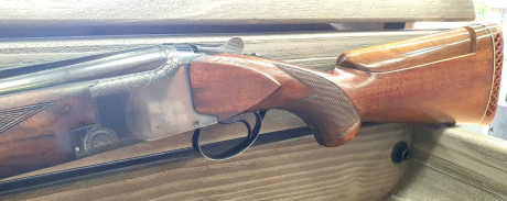 Buenas a todos, Un amigo me pide le anuncie esta escopeta.

ESCOPETA SUPERPUESTA FN BROWNING 12 GA-Shells 01