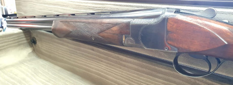 Buenas a todos, Un amigo me pide le anuncie esta escopeta.

ESCOPETA SUPERPUESTA FN BROWNING 12 GA-Shells 00