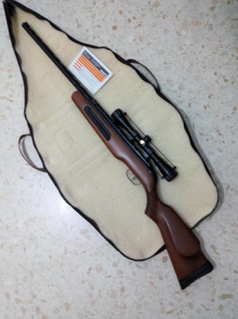 Buenas tardes
Estoy interesado en una de estas carabinas Gamo del año 2000 o anteriores 
Si alguien tiene 10