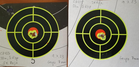 Hola amigos, estoy leyendo mucho pero por separado de nuestras queridas CZ | Brno del .22LR. Se podría 30