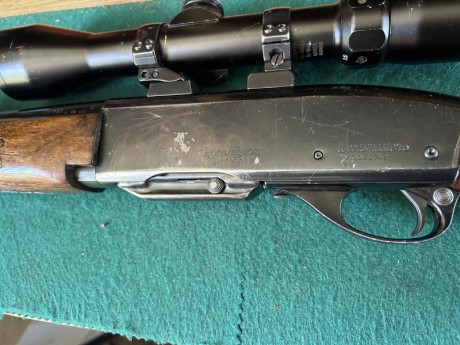 Se vende recien repasado de todo con un visor bushnell y monturas apel
Con dos cargadores 
El rifle es 12