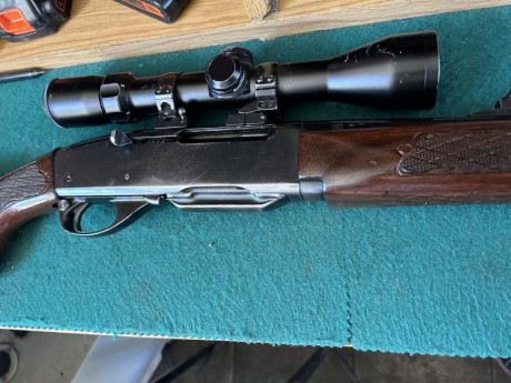 Se vende recien repasado de todo con un visor bushnell y monturas apel
Con dos cargadores 
El rifle es 11