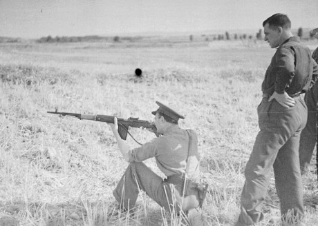 Hace unos días encontré por casualidad en una web extranjera un arma a la venta que hacía muchos años 10
