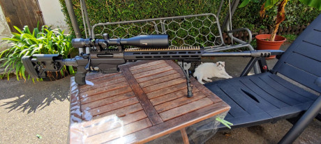 Saludos a todos. Soy cazador mi experiencia con armas no sale del ámbito de la caza, y este modelo que 00