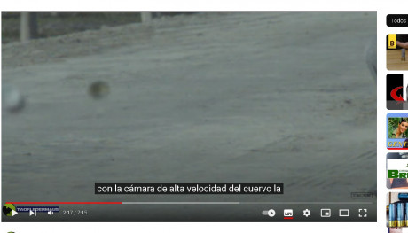 Buenas tardes tengo una pregunta:Las balas subcalibradas tipo Hornady,Saubestre se pueden tirar con todo 31