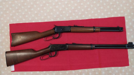 Busco rifle de palanca. Preferiblemente 45 LC, 44-40, 30-30, 357mg, 44 mg.

 :cow: 150