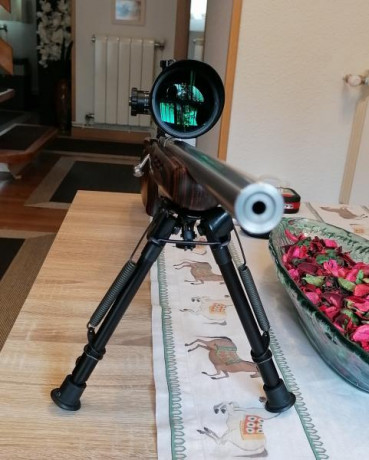 Se vende SAVAGE MARK II BTVS en excelente estado, bípode tipo Harris, visor walther FT8 - 32 x 56 con 02