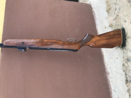 Gamo CFX royal 4,5 en perfecto estado de uso, solo venta en mano zona valladolid 82