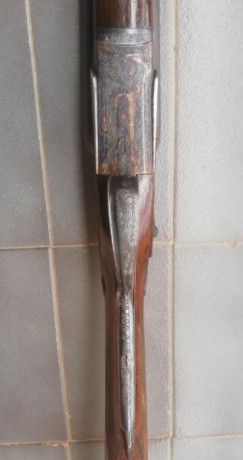 Vendo escopeta AYA modelo 51
La escopeta esta en perfecto estado.
Los cañones tienen 3 y 4 estrellas
La 01