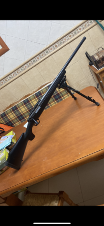Rifle de cerrojo Bergara B14 Sporter Varmint calibre 22-250 con bases Cañón de 24" y21,5mm de diámetro, 10