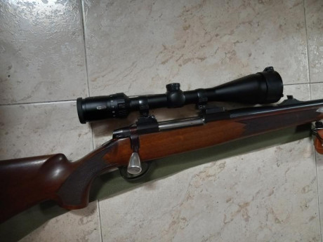 Vendo o cambio sako L691 30-06, con visor Meopta y appel, mas otro visor bushnell elite 3200 3-9x40 con 00