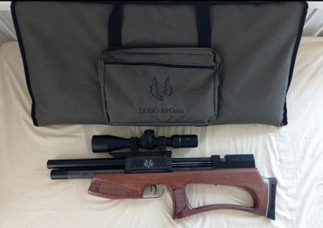Se vende Lobo Hound + Accesorios.
Por exceso de material y falta de uso, tendrá unos 1500 tiros.

* 2 10