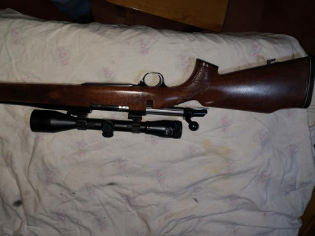 Por falta de uso, vendo browning bbr calibre 300.
Perfecto estado, maderas restauradas.
Visor de regalo. 00