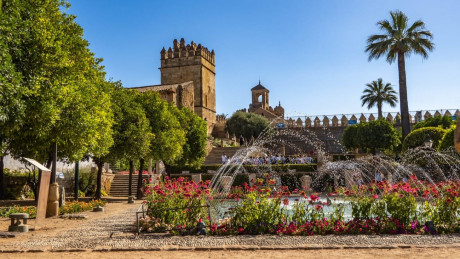 Buenas tardes:
Mi nombre es Raúl y soy de Córdoba. Soy cazador de mayor y menor y un humilde coleccionista 20