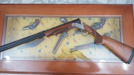 Se vende escopeta superpuesta Fabarm Axiss Sporting calibre 12, de 71cm de cañon, con juego de 5 polichok, 01