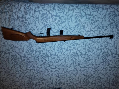 Se vende Carabina  semiautomática Krico 22lr en un estado óptimo. Incluye 2 cargadores. Se encuentra en 02