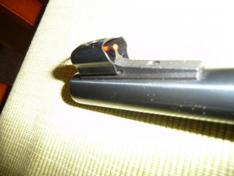 Pongo a la venta dos rifles por no darles uso. TIKKA T3X LITE,culata de fibra, P1010396.JPG  P1010397.JPG 00