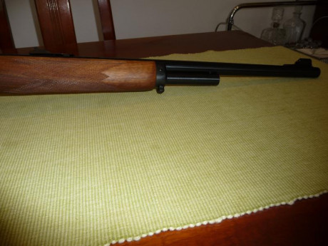 Pongo a la venta dos rifles por no darles uso. TIKKA T3X LITE,culata de fibra, P1010396.JPG  P1010397.JPG 20