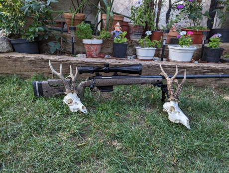 Se vende rifle únicamente usado en rececho Bergara Hmr en calibre 6.5 cr montado con un delta titanium 02