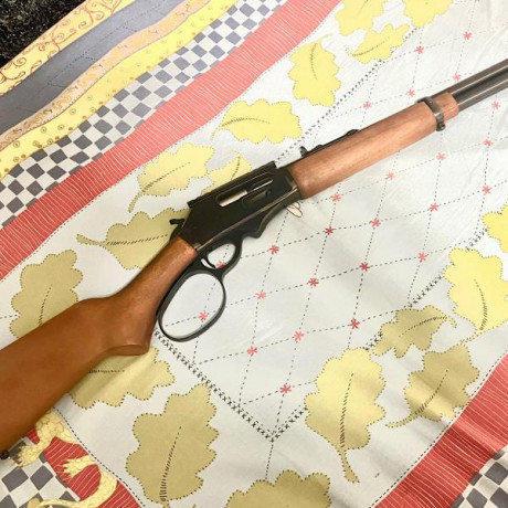 Palanquero Rossi Río Grande
Perfecto estado
Guiado en D
Calibre 45/70
Precio 850,-€ + portes 
Pamplona 01