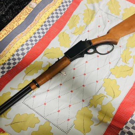 Palanquero Rossi Río Grande
Perfecto estado
Guiado en D
Calibre 45/70
Precio 850,-€ + portes 
Pamplona 00