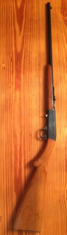 Buenas a todos
No suelo postear, pero después de buscar un poquito comentó que estoy buscando una carabina 30