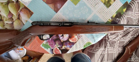 Os dejo fotos de una carabina del.22 que me.han regalado. Imagino que será de baja calidad. Es una Kassnar 80