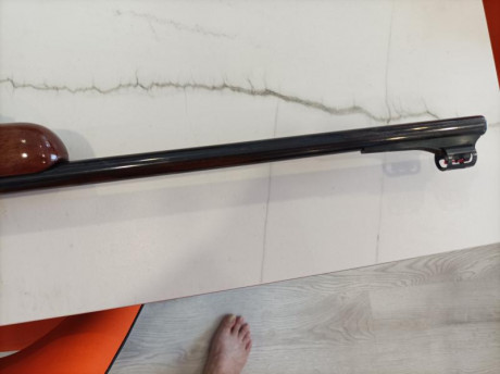 por falta de formalidad del comprador que estaba interesado en el rifle ,esta de nuevo en venta,750€ visor 10