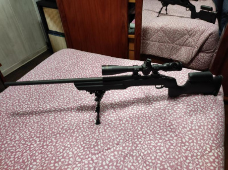 Hola a todos.  Pongo en venta mi equipo de f clases completo. Remington 700 cañón pesado con culata  bell 01