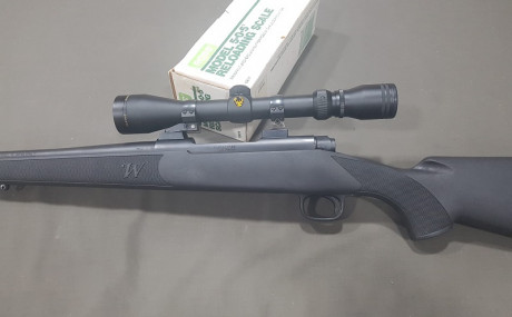 Vendo Winchester M70 sintetico con bases/anillas Apel cal 30-06 por tenerlo repe por 700€. Tranporte incluido 30