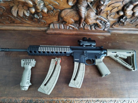 Vendo carabina semiautomática SMITH&WESSON M&P 15-22 SPORT. Arena.
O cambio por Beretta CX4 Storm 02