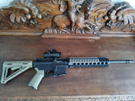 Vendo carabina semiautomática SMITH&WESSON M&P 15-22 SPORT. Arena.
O cambio por Beretta CX4 Storm 01