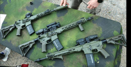 Suecia dispone del AK5 (una versión del FNC Belga), y alguna cosa tiene del AK4 (un HK G3/CETME B o C): 31