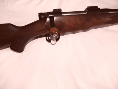 VENDIDO 00