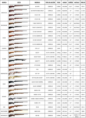 Pues eso amigos formulo esta pregunta, cual me recomendaríais, pensé en el regminton 597, o un norinco 10