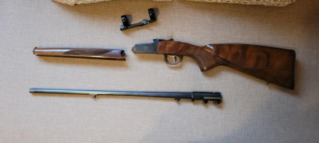 Vendo rifle monotiro brno effect en calibre 243 tiene gatillo al pelo monturas originales brno y rosca 00