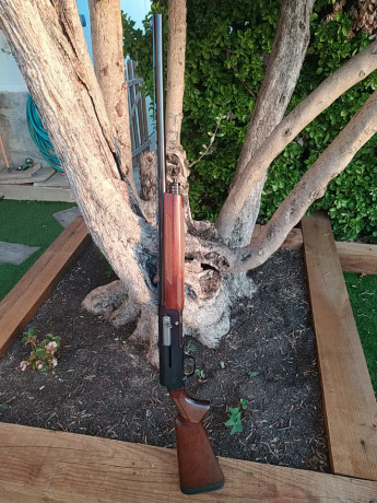 Buenas tardes

Pongo en venta mi Browning A5 Sweet Sixteen en calibre 16
Cañón de 66cm
Peso: 2,7Kg
Sistema 02