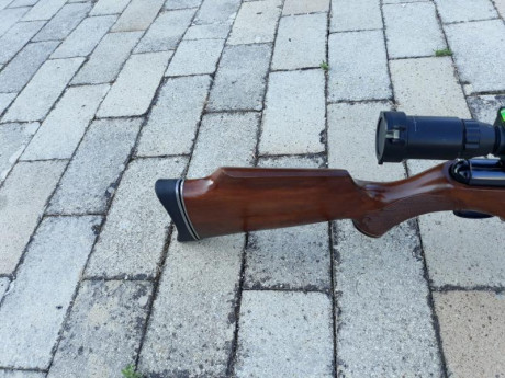 Prorsport , 4,5 completamente revisionada, y tuned, perfecta para la práctica de Field Target o Benchrest, 61