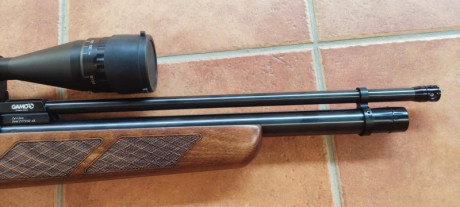 Hola buenas compañeros, GAMO COYOTE ,calibre 4,5.
La vendo con un visor leapers 6-24x50 con monturas Leapers 02