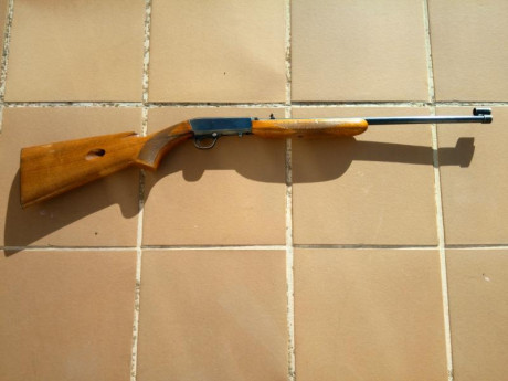 En venta carabina Browning cal 22LR. Semiautomática 10 disparos, desmontable, alza abatible, protector 01