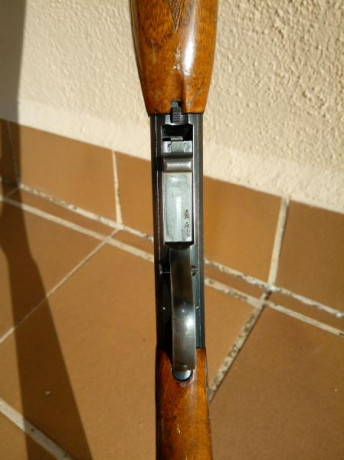 En venta carabina Browning cal 22LR. Semiautomática 10 disparos, desmontable, alza abatible, protector 00