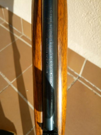 En venta carabina Browning cal 22LR. Semiautomática 10 disparos, desmontable, alza abatible, protector 11