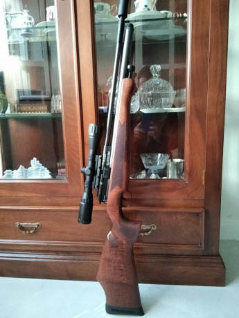Vendo carabina pcp Bsa Hornet en perfecto estado. Calibre 4,5 y multishot.
Precio: 400 euros 00