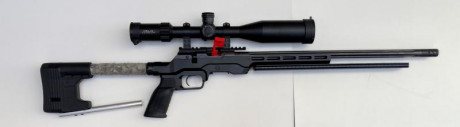Hola a tod@s!!!
Estoy pensando en adquirir una carabina del 22 para “tunear” con los chasis, culatas y 30