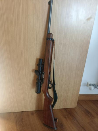 Buenas, cambio ruger saut calibre 44 por rifle de cerrojo de pequeño calibre ,243, 6,5, o cetme, escucho 01